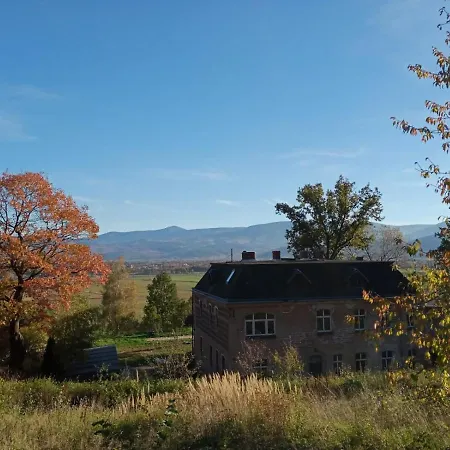 Sunny Bear Jelenia Góra