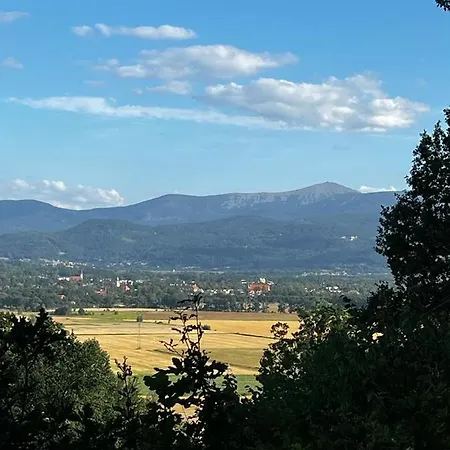 Апартаменты Sunny Bear Еленя-Гура