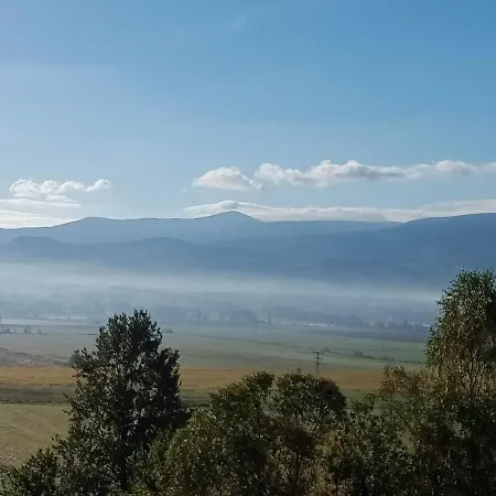 Апартаменты Sunny Bear