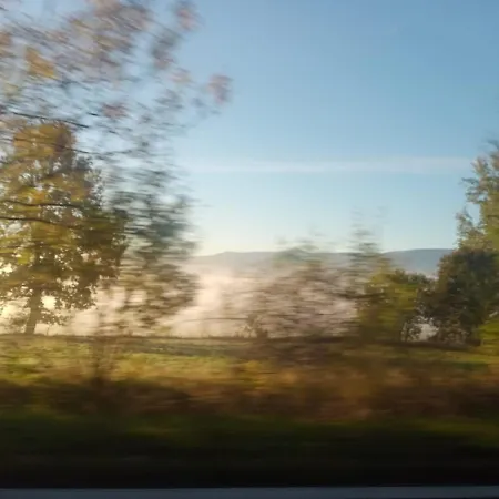 Sunny Bear Jelenia Góra