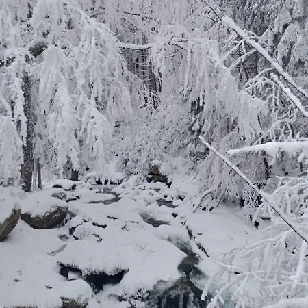 Апартаменты Sunny Bear Еленя-Гура