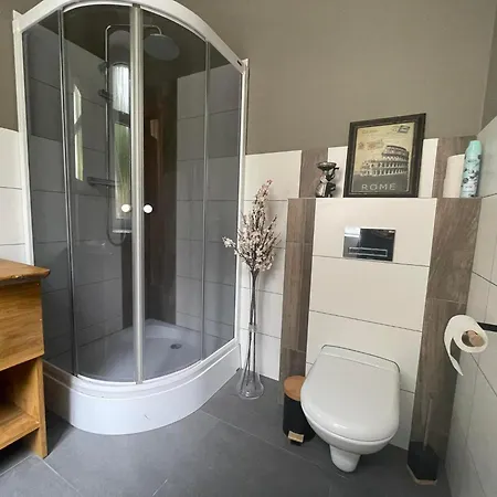 Sunny Bear Jelenia Gora