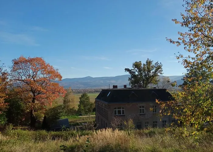 Sunny Bear Jelenia Góra