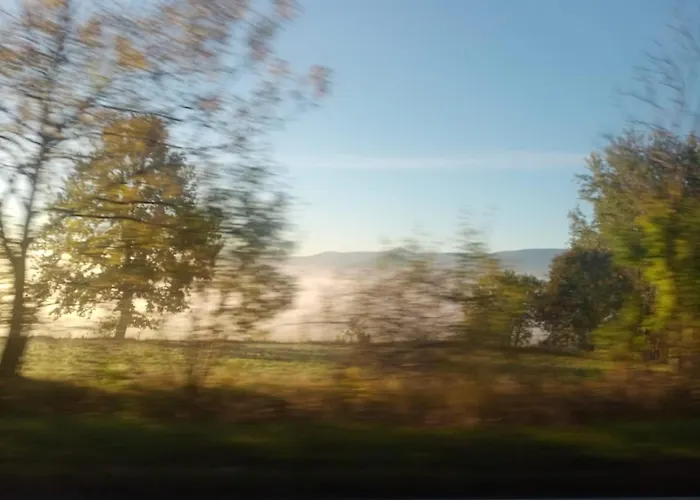 Sunny Bear يلينيا غورا