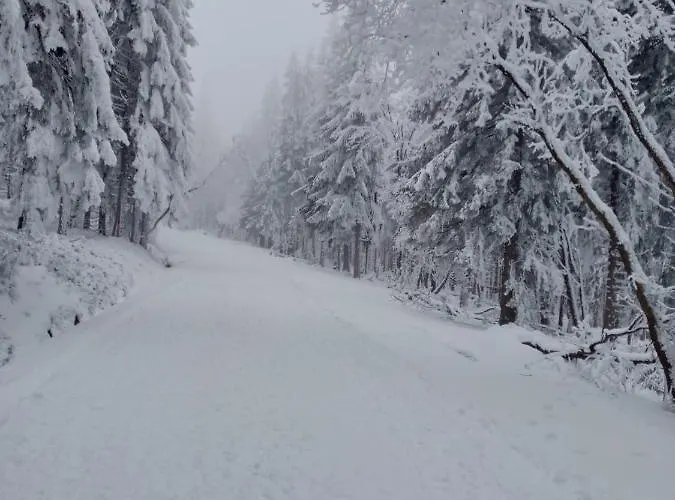 Sunny Bear Διαμέρισμα Jelenia Góra