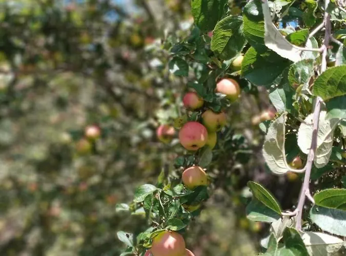 Appartement Sunny Bear