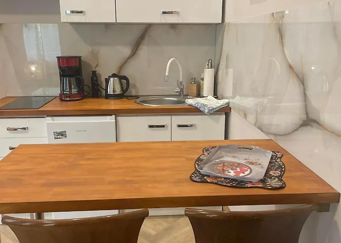 Sunny Bear Jelenia Góra