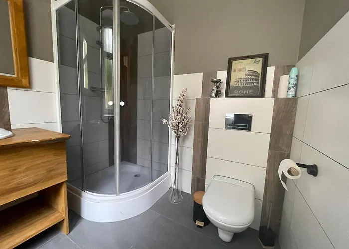 Sunny Bear Jelenia Góra